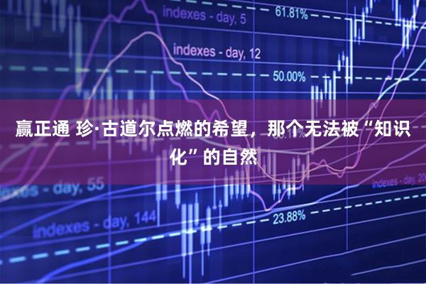赢正通 珍·古道尔点燃的希望,那个无法被“知识化”的自然