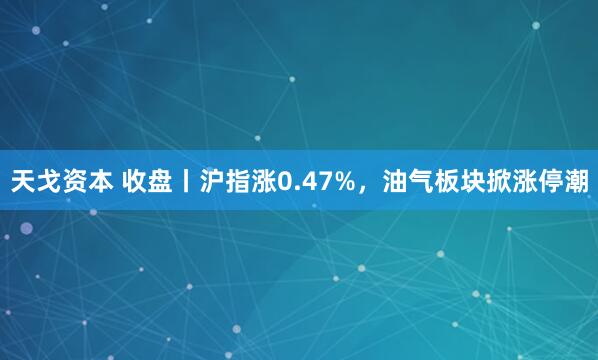 天戈资本 收盘丨沪指涨0.47%，油气板块掀涨停潮