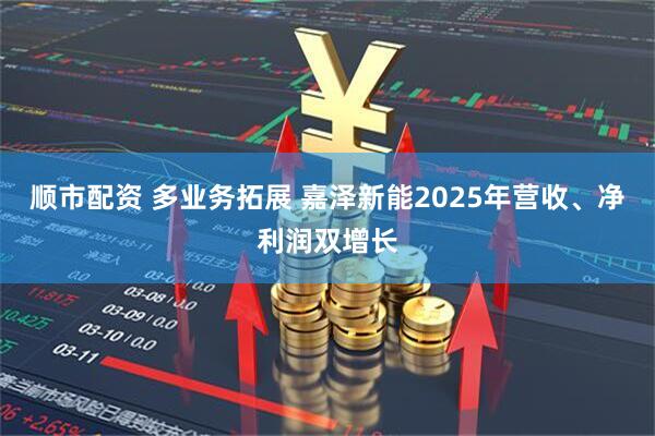 顺市配资 多业务拓展 嘉泽新能2025年营收、净利润双增长