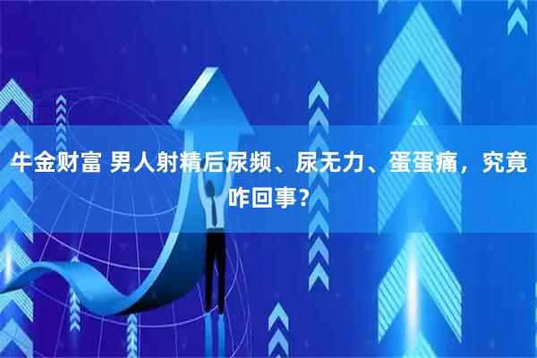 牛金财富 男人射精后尿频、尿无力、蛋蛋痛，究竟咋回事？