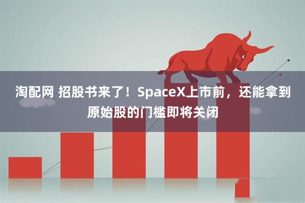 淘配网 招股书来了!SpaceX上市前,还能拿到原始股的门槛即将关闭