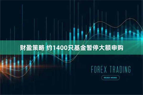 财盈策略 约1400只基金暂停大额申购