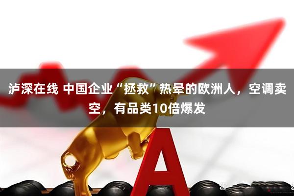 泸深在线 中国企业“拯救”热晕的欧洲人，空调卖空，有品类10倍爆发
