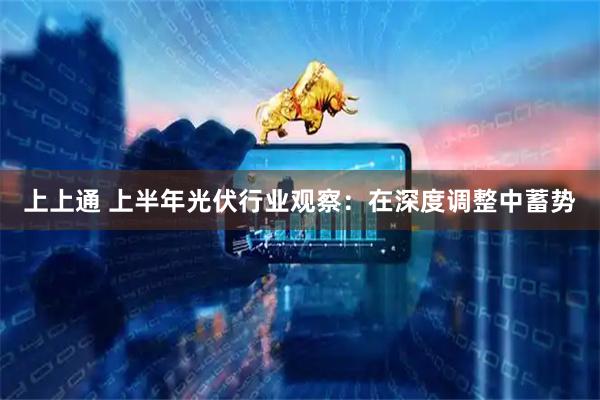 上上通 上半年光伏行业观察：在深度调整中蓄势
