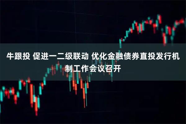 牛跟投 促进一二级联动 优化金融债券直投发行机制工作会议召开